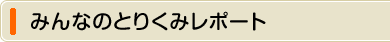 みんなのとりくみレポート