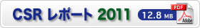 PDF�FCSR���|�[�g2010�i6.1MB�j