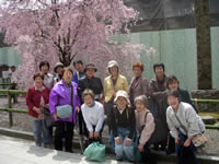 20080428_daigoji01.jpg