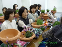 20080428_yoseue01.jpg