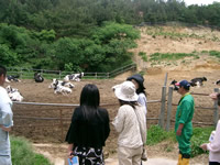 20080616_gyunyu02.jpg