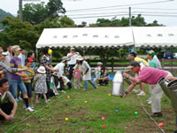 20080630_hiraya02.jpg