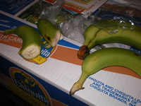 091022_banana2.jpg