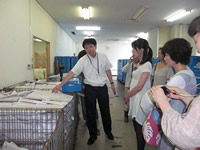 20100726_keihoku-nanbutu01.jpg