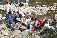 20100913kiz_kawaasobi.jpg