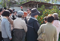 20101220_mikan21.jpg