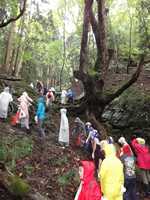 20110923_koya2.jpg