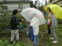 131210_yamasshinanasu2.jpg