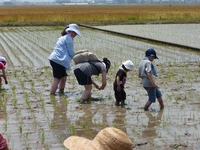 140531_taue10.jpg