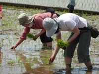 140531_taue20.jpg