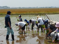 140531_taue40.jpg