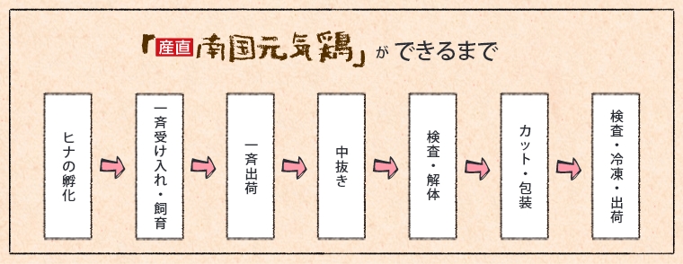 南国元気鶏ができるまで