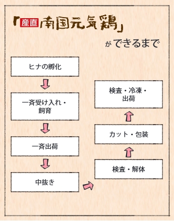 南国元気鶏ができるまで