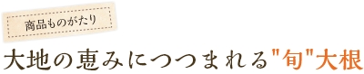 大地の恵みにつつまれる“旬”大根