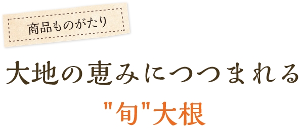 大地の恵みにつつまれる“旬”大根