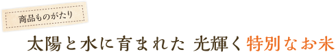 太陽と水に育まれた光輝く特別なお米