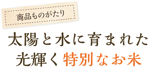 太陽と水に育まれた光輝く特別なお米
