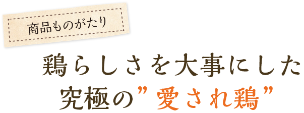 鶏らしさを大事にした究極の”愛され鶏”