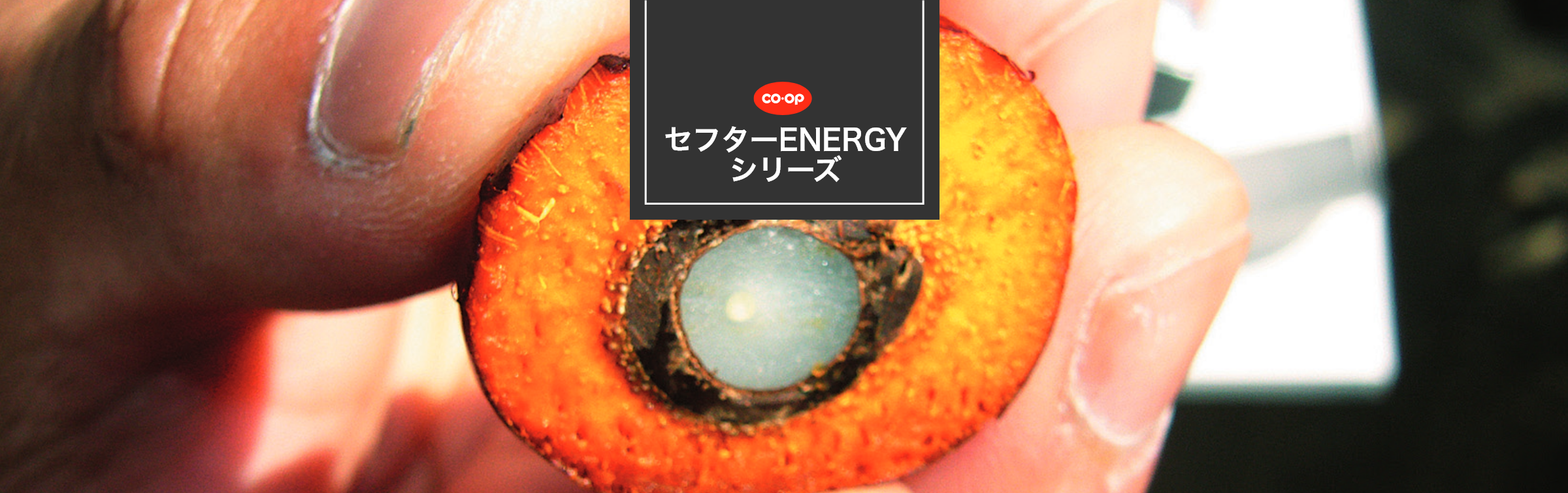 セフターENERGYシリーズ