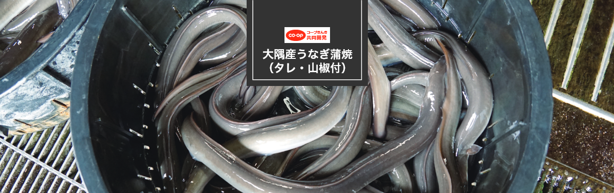 大隅産うなぎ蒲焼（タレ・山椒付）