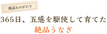 365日、五感を駆使して育てた絶品うなぎ