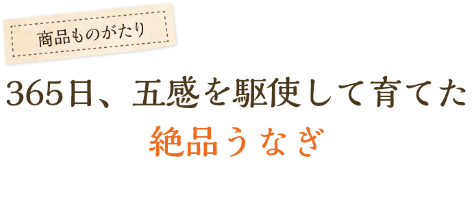 365日、五感を駆使して育てた絶品うなぎ