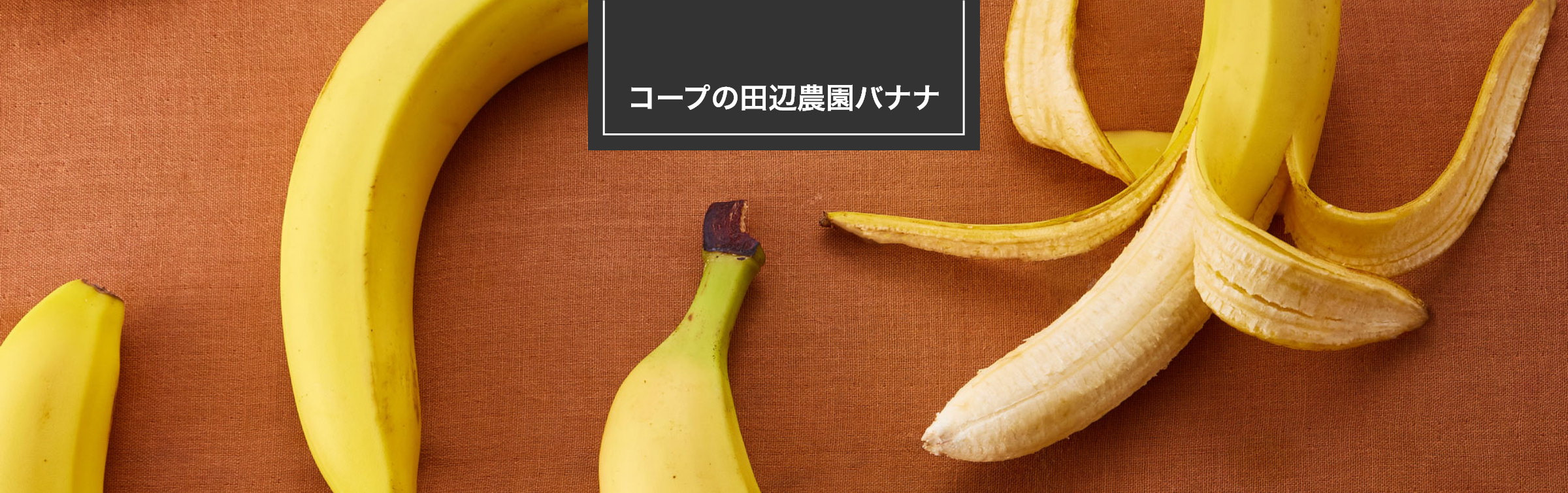 コープの田辺農園バナナ