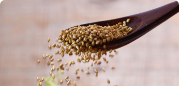 4月号 いりごま白