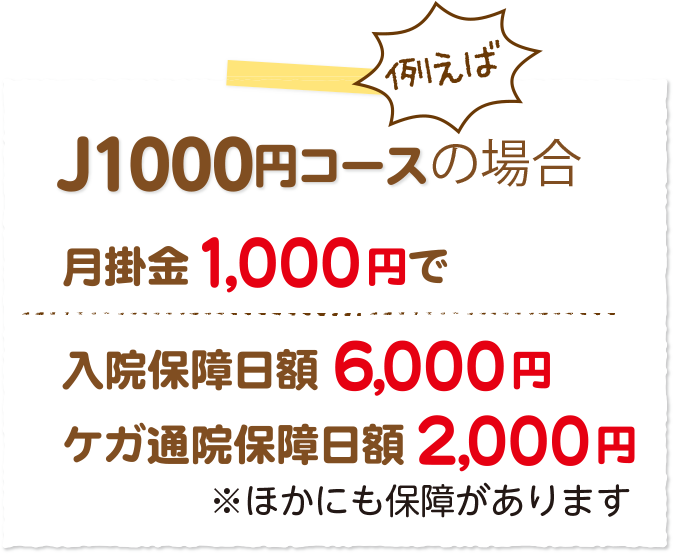 0歳から満19歳までに加入すると、掛金・保障内容はそのまま、手続き不要で充実の保障が満30歳まで続きます。