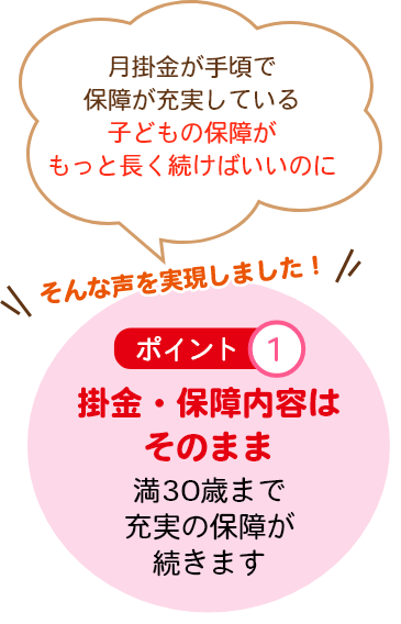 掛金が手頃で保障が充実している子どもの保障がもっと長く続けばいいのに掛金・保障内容はそのまま満30歳まで充実の保障が続きます