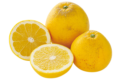 天草晩柑（河内晩柑）