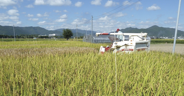 豊かな食と地域のつながりをつくります。