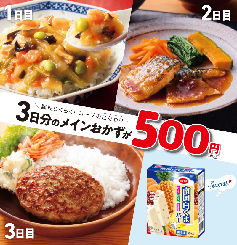 税込1,700円相当のセット4点が500円でお試しできます