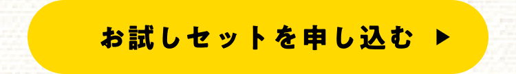 お試しセット申し込みリンク