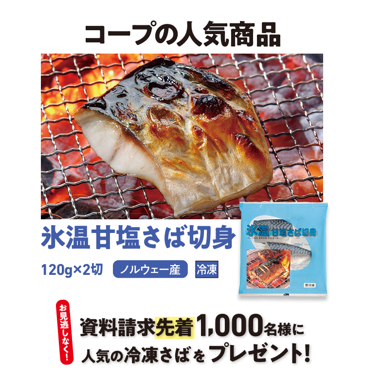 コープの人気商品　氷温甘塩さば切身 冷凍 ノルウェー産