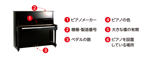 ポイント