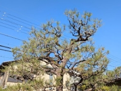 Before画像1