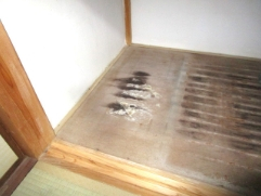 Before画像2