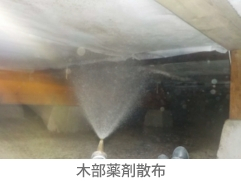 Before画像1