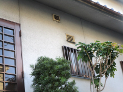 Before画像2
