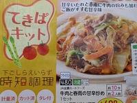 170104tekipakitto04.jpg