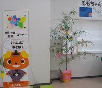170717fukkura3.jpg
