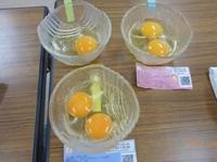 170207sakurakome02.jpg