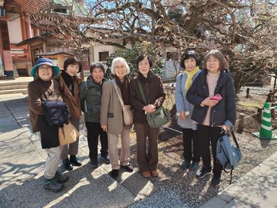 上京サロン梅　ランチ　画像 (2).jpg