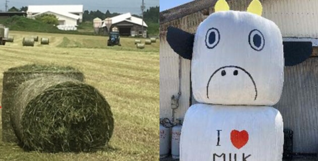 「酪農をやりたい」と思ってもらえるように