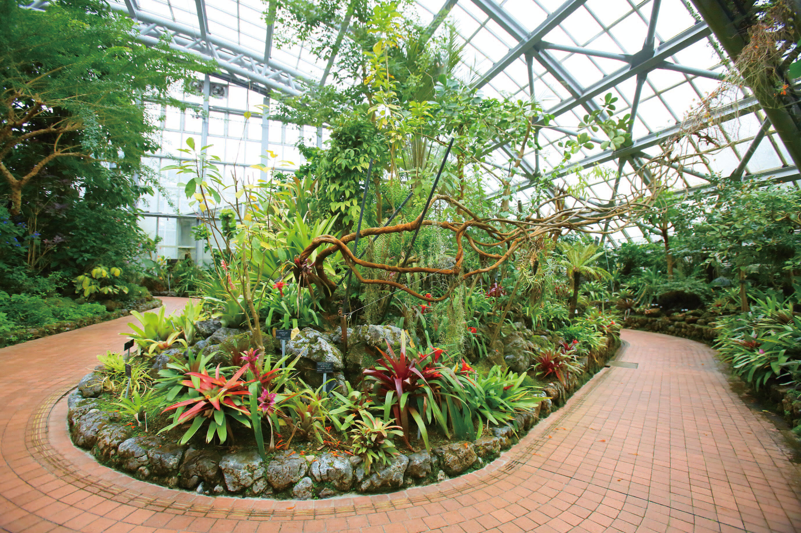 温室の中には世界の花園 京都府立植物園 花を愛でる春 むすび