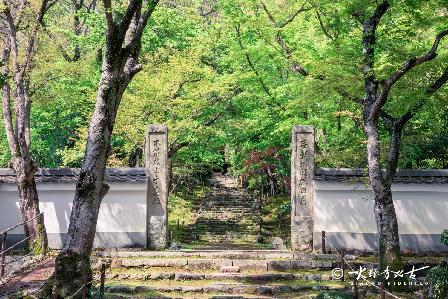 (新緑　総門｜_04_141636655_5D3.jpg
