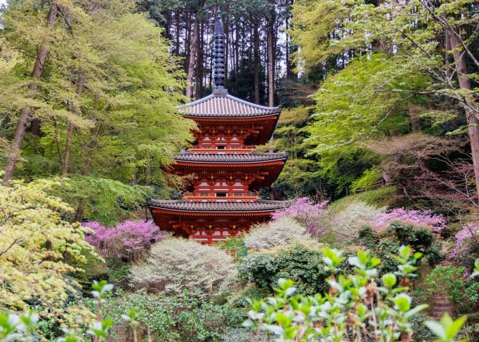 岩船寺（がんせんじ）