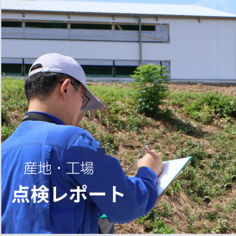 点検レポート