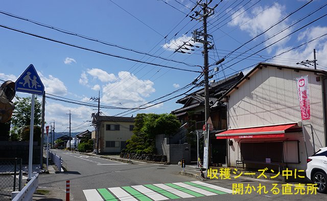 001-toma_2003.jpg